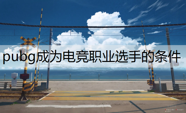 pubg成为电竞职业选手的条件