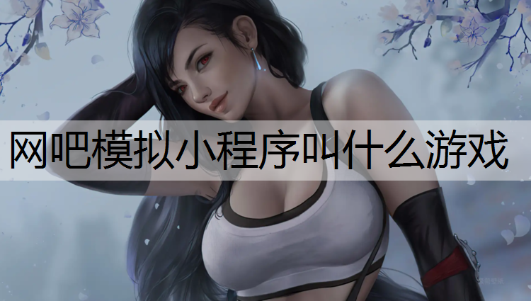 网吧模拟小程序叫什么游戏