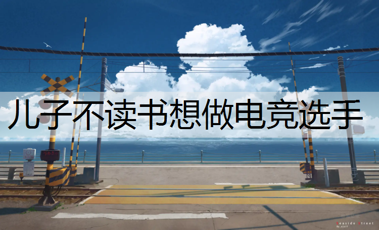 儿子不读书想做电竞选手
