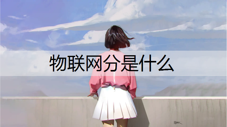 物联网分是什么