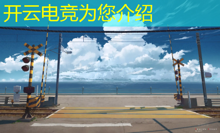 kaiyun·开云电竞为您介绍：绝地求生刺激战场电竞赛事