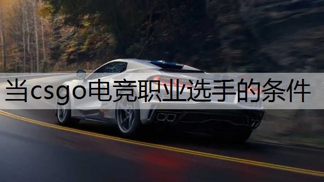 当csgo电竞职业选手的条件